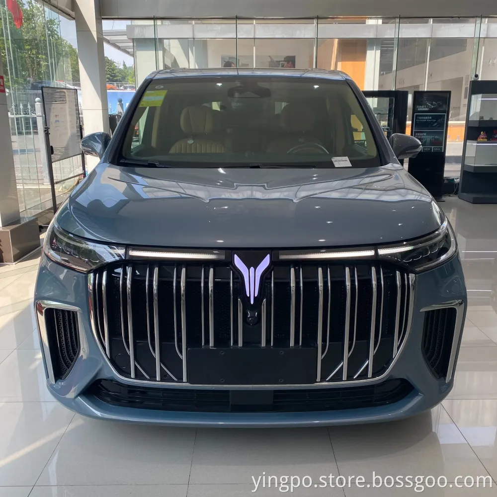 Pure Electric Version 7-Seater Chinese MPV with Chassis Suspension, Voyah